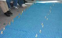 Initial Scatter
